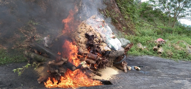 Toàn bộ số hàng hóa là 1.670kg giống lúa, 22 gốc cây anh đào nhập lậu đã bị tiêu hủy 