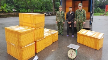 Quảng Ninh: Bắt giữ vụ vận chuyển 500 kg cá tầm nhập lậu từ Trung Quốc
