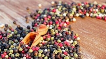 Giá hồ tiêu hôm nay 27/4: Tiếp tục đi ngang