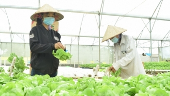 Kon Tum: Tiếp tục chấp thuận chủ trương đầu tư Dự án trang trại nông nghiệp tổng hợp