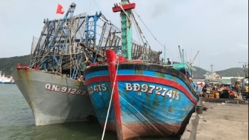Bình Định: Hỗ trợ hơn 80 tỷ đồng cho tàu đánh bắt cá xa bờ
