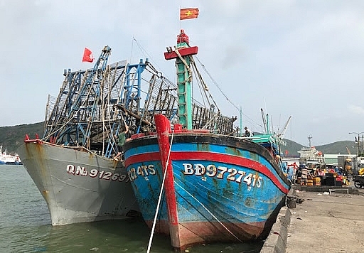 Bình Định: Hỗ trợ hơn 80 tỷ đồng cho tàu đánh bắt cá xa bờ