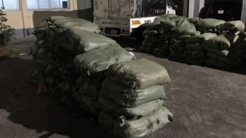 Cao Bằng: Tạm giữ trên 1.800kg nguyên liệu lá thuốc lá không rõ nguồn gốc
