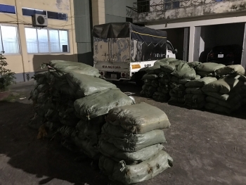 Cao Bằng: Tạm giữ trên 1.800kg nguyên liệu lá thuốc lá không rõ nguồn gốc