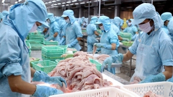 Thương mại hai chiều Việt Nam - EU cán mốc 50 tỷ USD