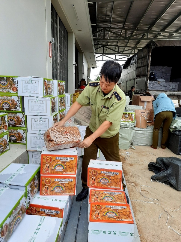 Bình Định: Phát hiện, xử lý 13 vụ vi phạm trong vòng 1 tuần