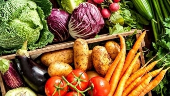 Xuất khẩu rau quả sang thị trường Trung Quốc đạt 610,82 triệu USD