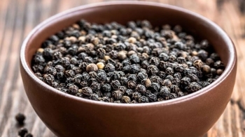 Giá hồ tiêu hôm nay 4/5: Vẫn chưa có sự thay đổi