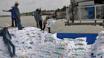 Nhập khẩu phân bón từ thị trường Trung Quốc tăng mạnh