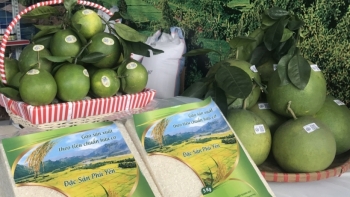 Sơn La: Điều hành bảo đảm cân đối cung cầu, bình ổn giá cả