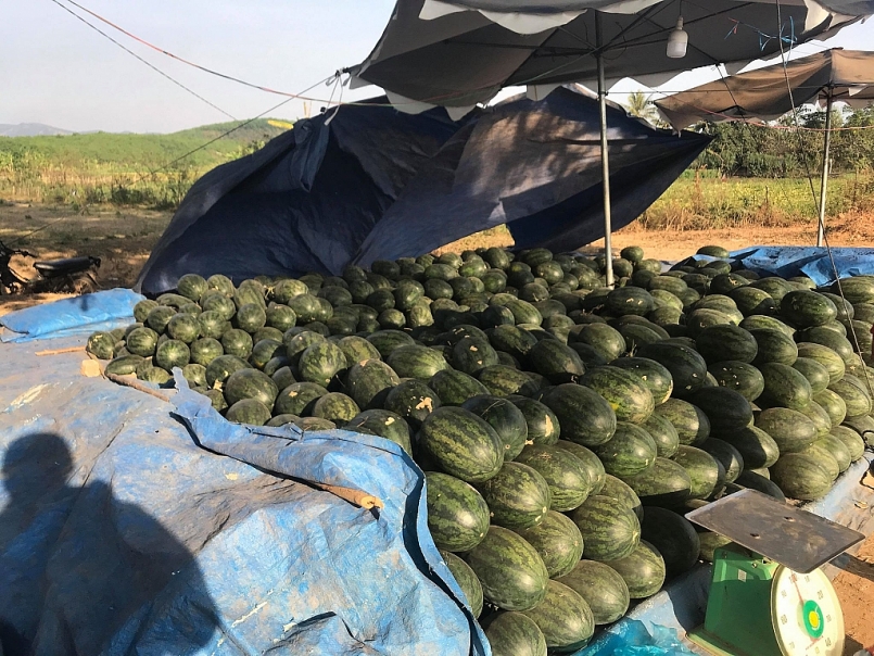 Kon Tum thực hiện Đề án đổi mới phương thức kinh doanh tiêu thụ nông sản giai đoạn 2021-2025, định hướng đến 2030