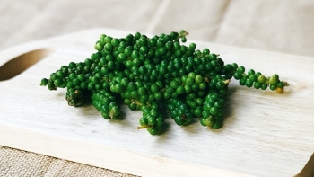 Giá hồ tiêu hôm nay 6/5: Tiếp tục giữ giá