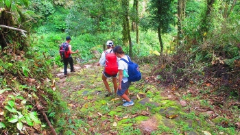 Lai Châu: Tạm dừng tổ chức giải chạy “Marathon con đường đá cổ Pavi”