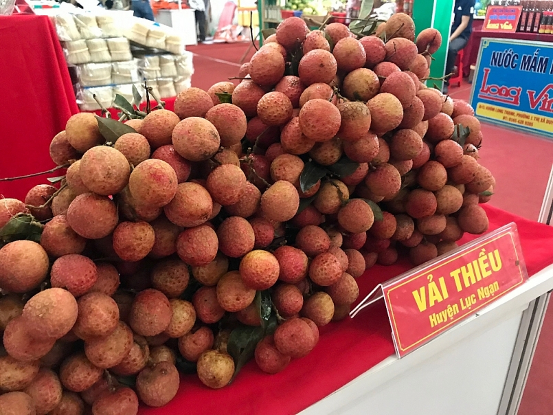 UBND tỉnh Bắc Giang tổ chức Hội nghị trực tuyến xúc tiến tiêu thụ vải thiều với các điểm cầu trong và ngoài nước