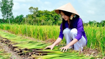 Bạc Liêu: Triển khai thực hiện Đề án “Hỗ trợ phụ nữ khởi nghiệp” năm 2021