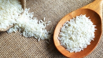Giá gạo hôm nay 12/5: Tiếp tục giữ ổn định