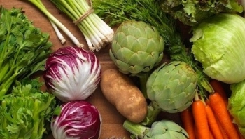 Xuất khẩu rau quả tăng nhẹ, đạt 1,35 tỷ USD trong 4 tháng đầu năm