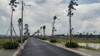 Bà Rịa - Vũng Tàu: Chấn chỉnh tình trạng phân lô bán nền trên địa bàn tỉnh