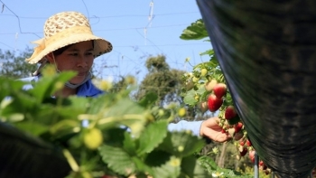 Sơn La: Hỗ trợ hệ sinh thái khởi nghiệp đổi mới sáng tạo năm 2021