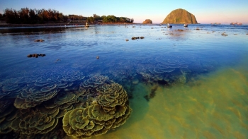 Phú Yên: Di dời lồng, bè không theo quy hoạch tại khu vực Hòn Yến