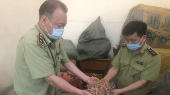 Lạng Sơn: Ngăn chặn 190 kg dược liệu không đảm bảo chất lượng