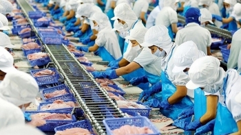 Kim ngạch xuất khẩu thủy sản đạt gần 2,49 tỷ USD trong 4 tháng