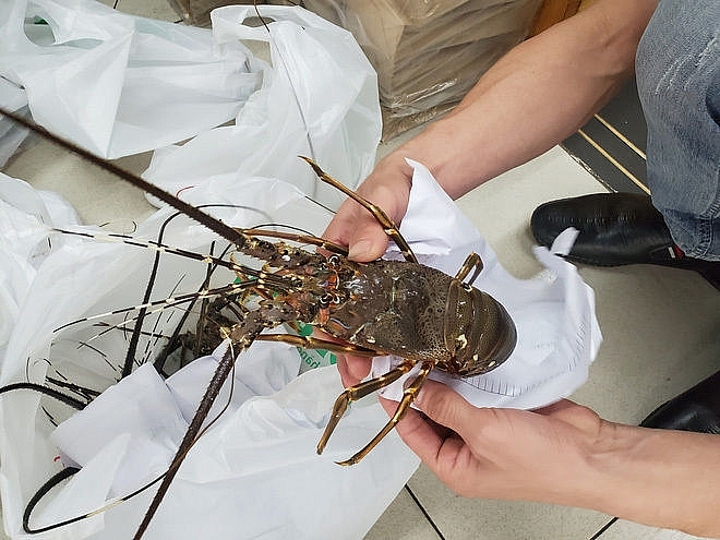 Kim ngạch nhập khẩu thủy sản đạt gần 680 triệu USD Kim ngạch nhập khẩu thủy sản đạt gần 680 triệu USD