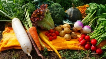 Giá rau củ quả hôm nay 18/5: Siêu thị tăng cường khuyến mãi