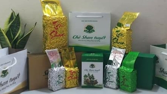 Tuyên Quang: Chè Shan tuyết Na Hang được bảo hộ chỉ dẫn địa lý