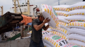 Gần 1,4 triệu tấn phân bón được nhập về Việt Nam trong 4 tháng đầu năm