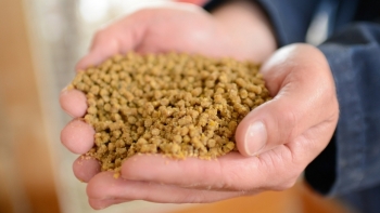 Nhập khẩu thức ăn gia súc và nguyên liệu đạt 1,65 tỷ USD trong 4 tháng đầu năm