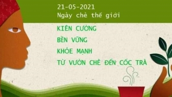 Hưởng ứng Ngày Chè Thế giới năm 2021