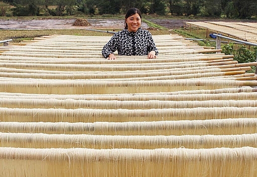 Phơi khô miến sau khi tạo hình sợi