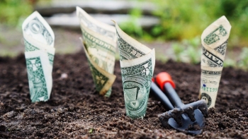 Cà Mau: Tiếp nhận hồ sơ ý tưởng, dự án tham gia chương trình hỗ trợ khởi nghiệp năm 2021