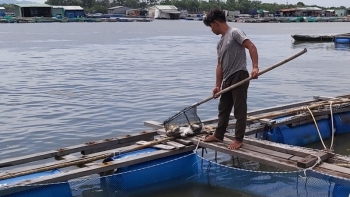Quản lý lồng bè nuôi trồng thủy sản, giải tỏa đăng đáy và kinh doanh nhà hàng nổi trên sông Chà Và