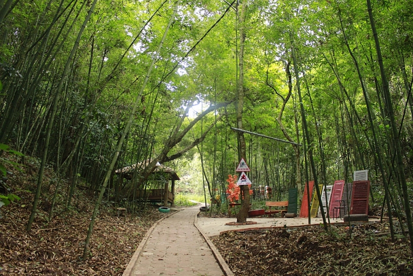 Sơn La: tăng cường các biện pháp cấp bách về bảo vệ rừng và phòng cháy, chữa cháy rừng năm 2021 Sơn La: tăng cường các biện pháp cấp bách về bảo vệ rừng và phòng cháy, chữa cháy rừng năm 2021