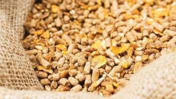 Xuất khẩu thức ăn gia súc và nguyên liệu tăng mạnh trong tháng 4