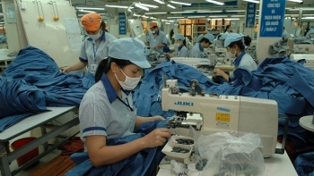 Xuất khẩu hàng hóa sang thị trường Brazil đạt 682,09 triệu USD, tăng 13,4%