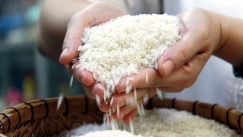 Kon Tum: Phân bổ gần 70.000 tấn gạo hỗ trợ của Chính phủ cho Nhân dân