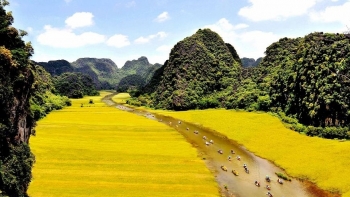 Ninh Bình: Dừng tổ chức Tuần Du lịch “Sắc vàng Tam Cốc - Tràng An”