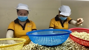 Xuất khẩu hạt điều sang Mỹ 4 tháng đầu năm đạt 45.704 tấn