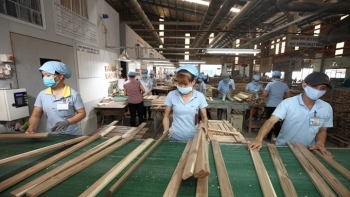 Xuất khẩu gỗ và sản phẩm gỗ trong tháng 4 tăng 100% so với cùng kỳ
