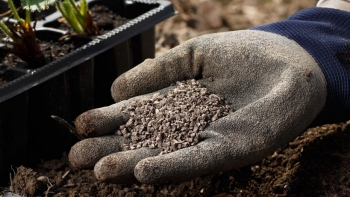 Xuất khẩu phân bón sang Philippines đạt hơn 20 nghìn tấn