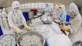 Kiên Giang: Kim ngạch xuất khẩu tăng gần 16% so với cùng kỳ