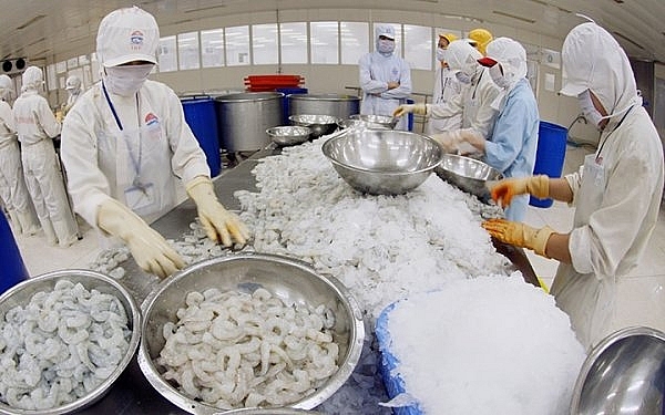 Kiên Giang: Kim ngạch xuất khẩu tăng gần 16% so với cùng kỳ