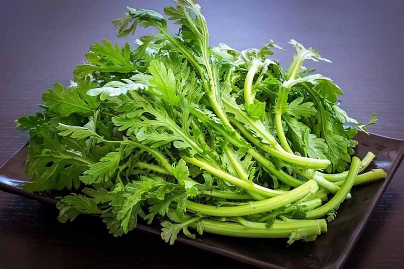 Rau cải cúc là loại rau phổ biến được nhiều người ưa chuộng