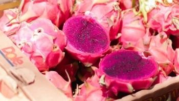 Bình Thuận: Đẩy mạnh khâu chế biến và phát triển thị trường nông sản trên địa bàn tỉnh