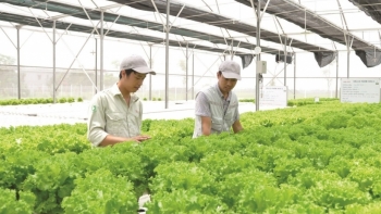 Quảng Nam: Đẩy mạnh ứng dụng công nghệ thông tin trong một số lĩnh vực