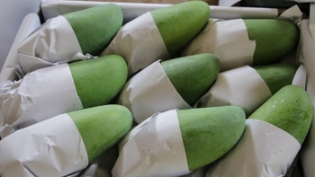 Sơn La: Tích cực chuẩn bị cho vụ thu hoạch nông sản ở Mai Sơn