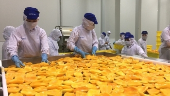 Hà Nội: Kim ngạch xuất khẩu hàng hóa trong tháng 5 tăng 2,5% so với cùng kỳ